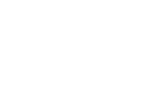 Jackal Holidays